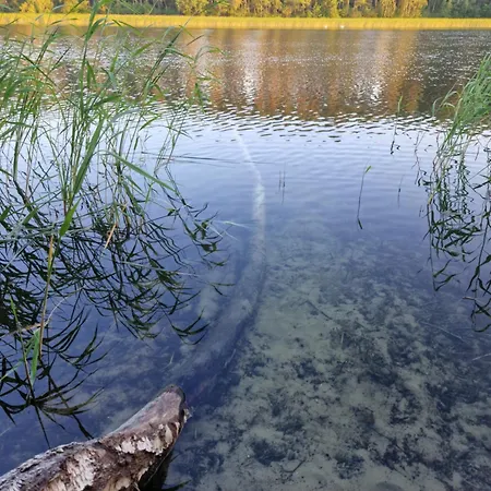 Willa Wczasowe Wzgorze Swornegacie Zewnętrze zdjęcie